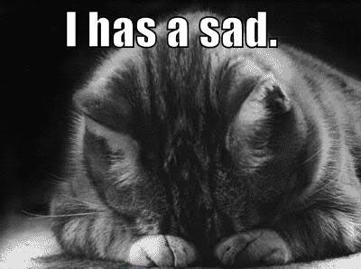 sad-kitty.jpg